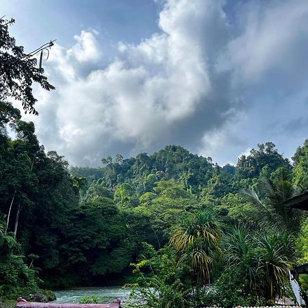 Hotel Charlys Little House Bukit Lawang Exteriér fotografie