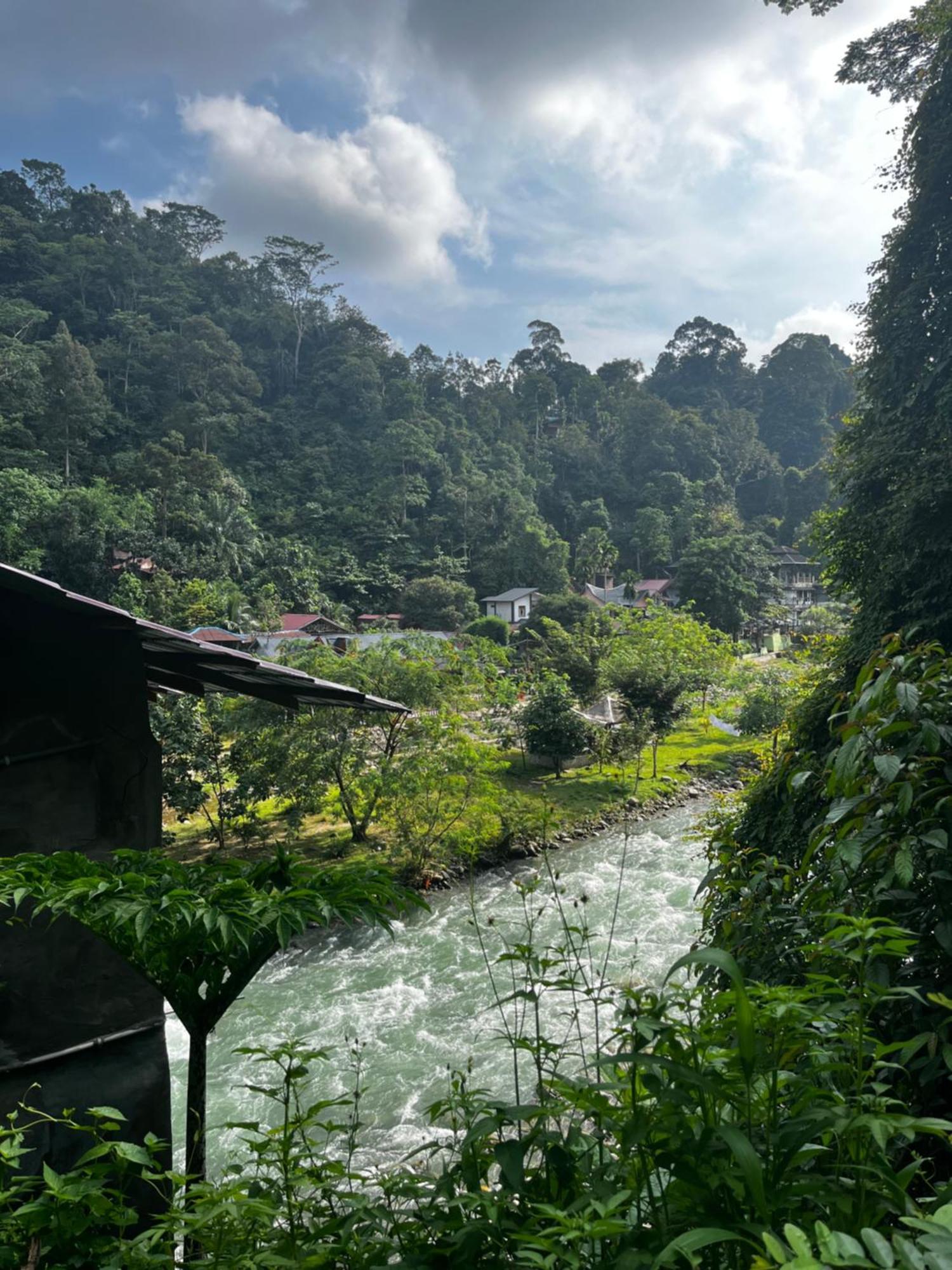 Hotel Charlys Little House Bukit Lawang Exteriér fotografie