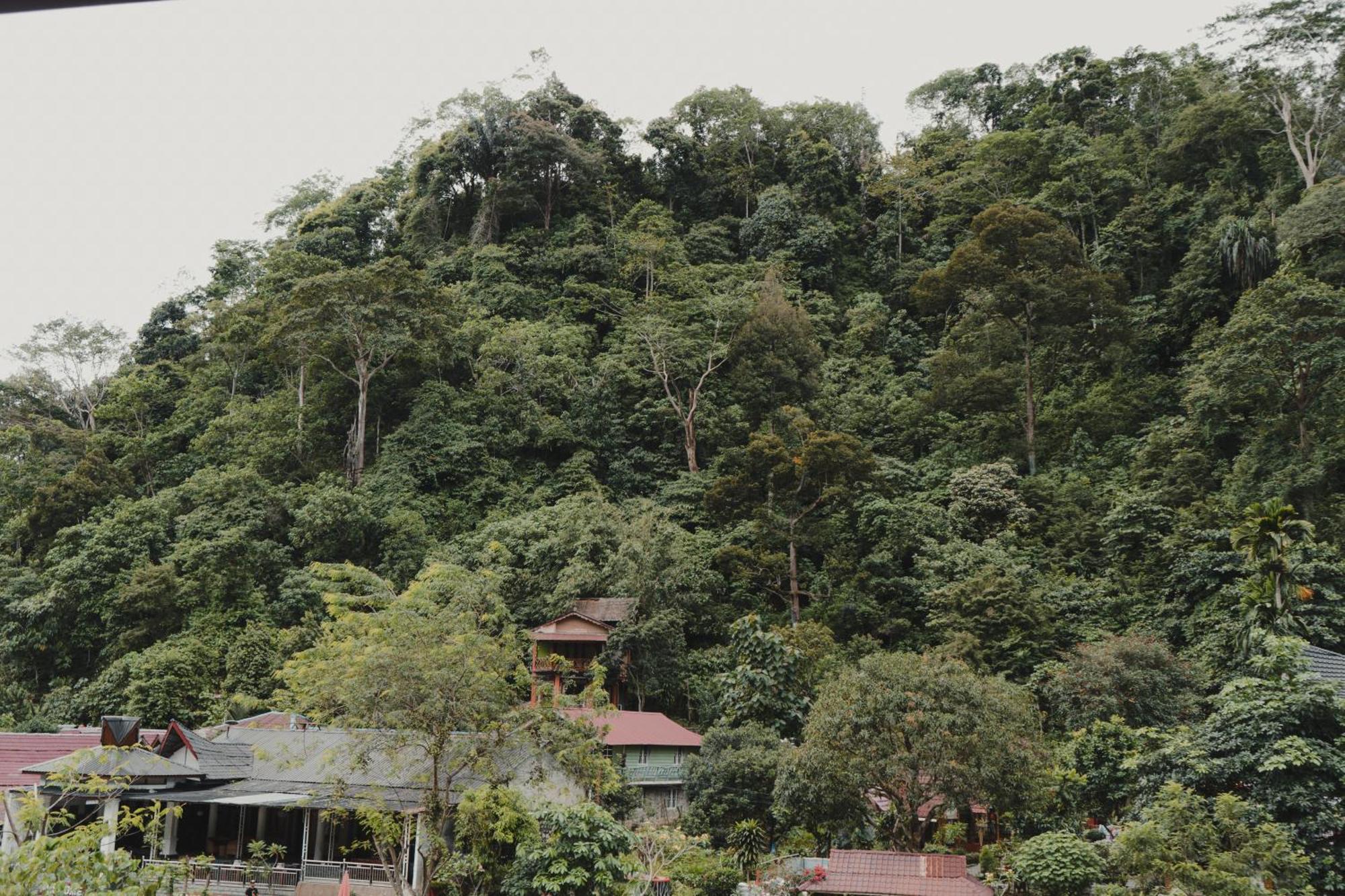 Hotel Charlys Little House Bukit Lawang Exteriér fotografie